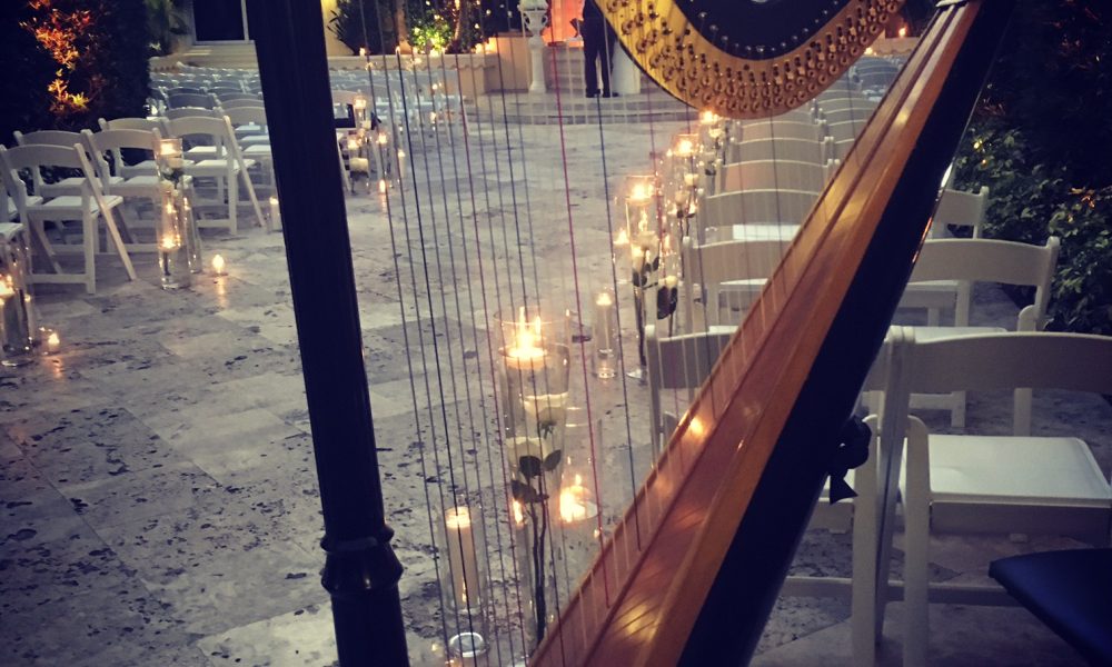 Harpist Lisa