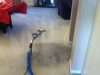 Absolute Best Carpet Cleaners
