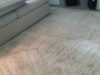 Absolute Best Carpet Cleaners