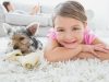 Absolute Best Carpet Cleaners