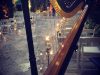 Harpist Lisa