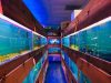 Pet world of Broward