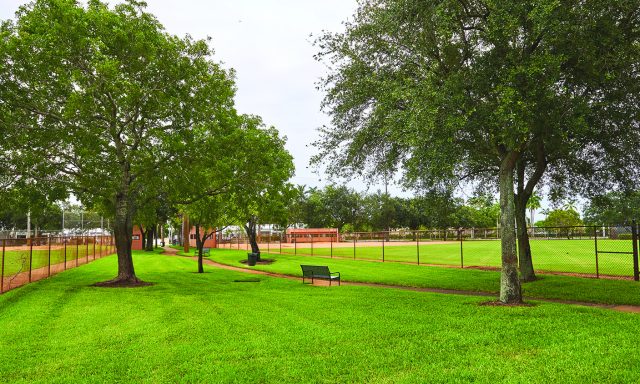 City Park