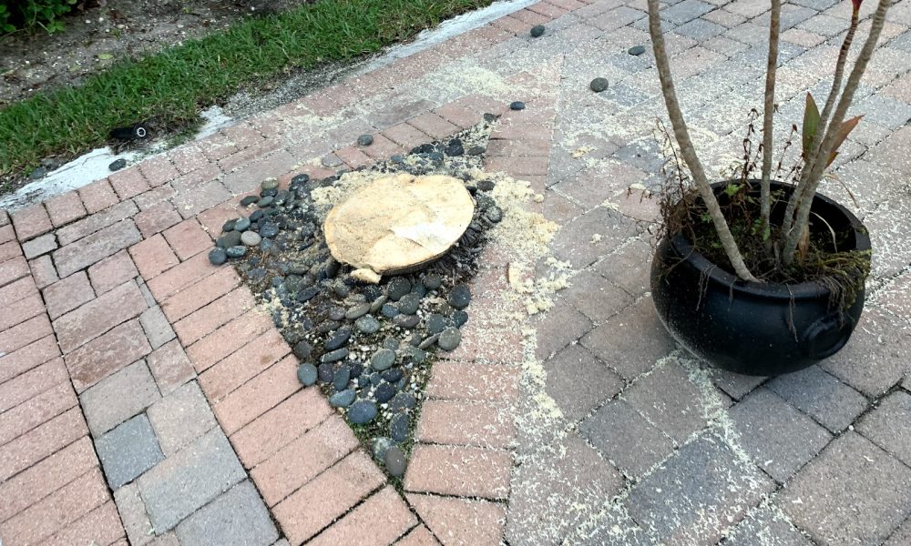 DD Waste Removal, LLC