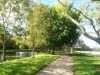 Sunset Park